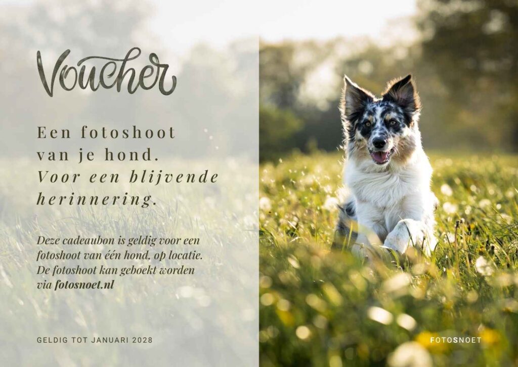 Cadeaubon FotoSnoet