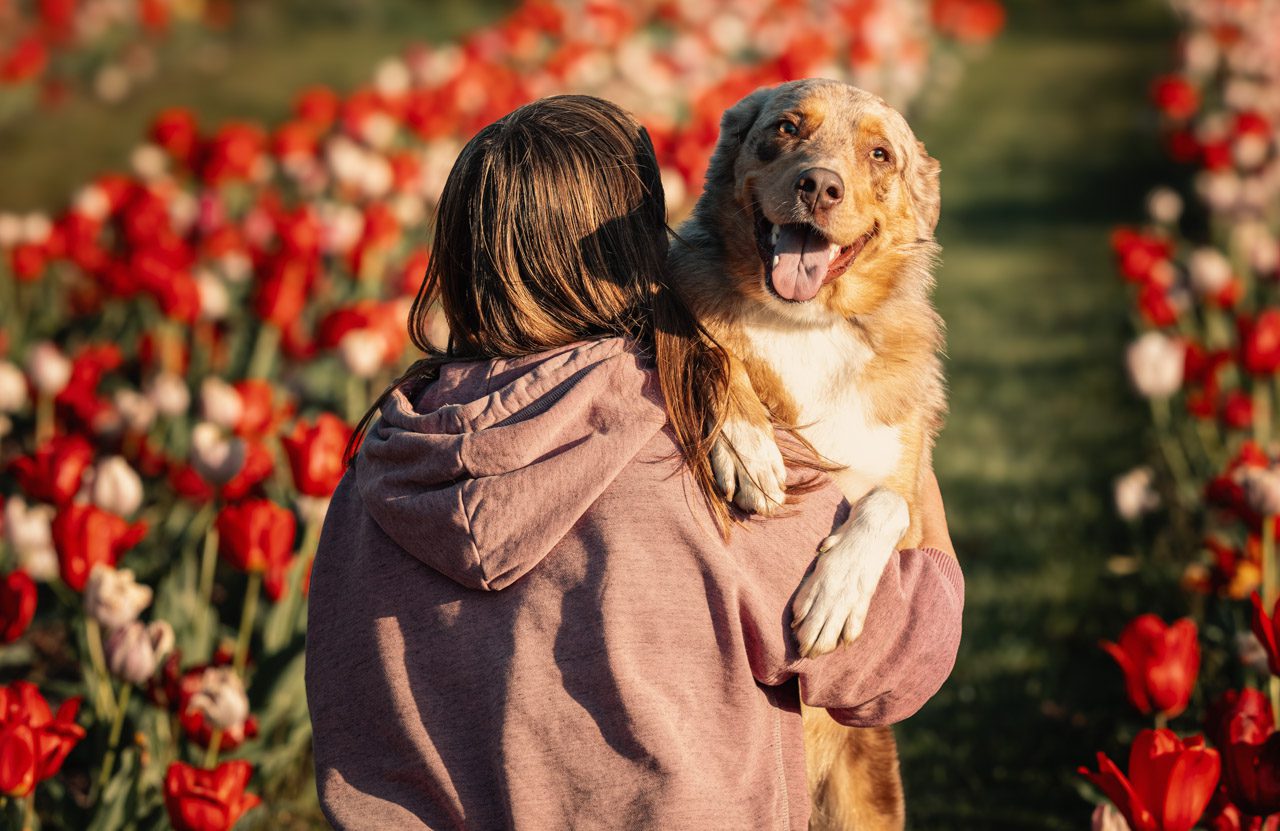samen met je hond op de foto